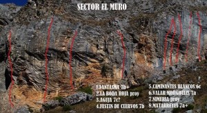 sector muro (2)